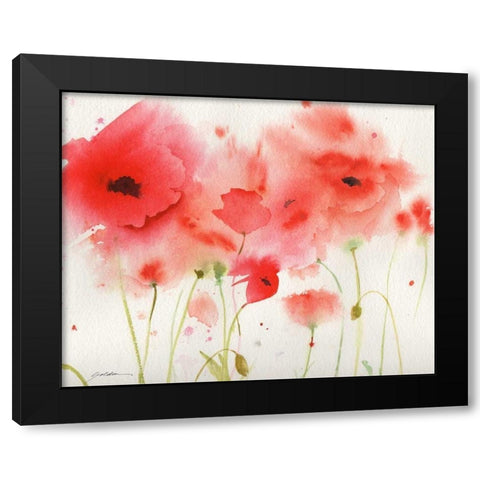 Red Poppies Black Modern Wood Framed Art Print by Golden, Sheila