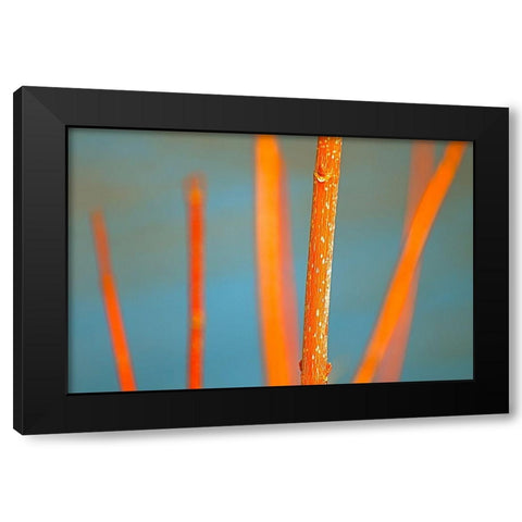 Along the River No. 5 Black Modern Wood Framed Art Print with Double Matting by Gonzalez, Ulpi