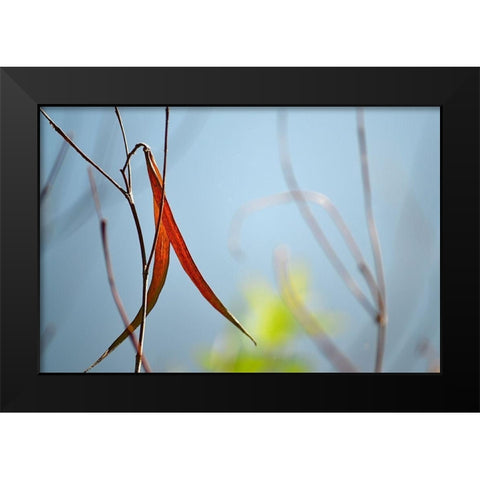 Red and Green by the River Black Modern Wood Framed Art Print by Gonzalez, Ulpi