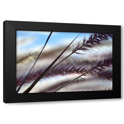 Grasses No. 8 Black Modern Wood Framed Art Print with Double Matting by Gonzalez, Ulpi