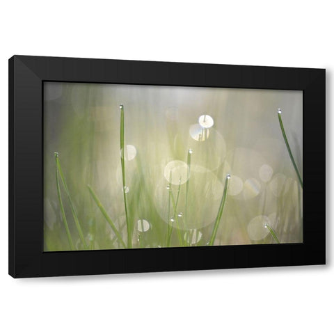 Morning Light No. 3 Black Modern Wood Framed Art Print by Gonzalez, Ulpi