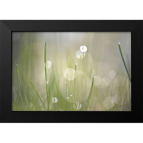 Morning Light No. 3 Black Modern Wood Framed Art Print by Gonzalez, Ulpi
