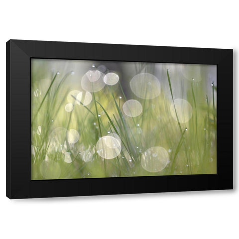 Morning Light No. 4 Black Modern Wood Framed Art Print with Double Matting by Gonzalez, Ulpi