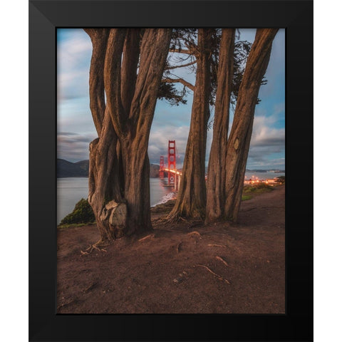 Between the Trees Black Modern Wood Framed Art Print by Getty, Bruce