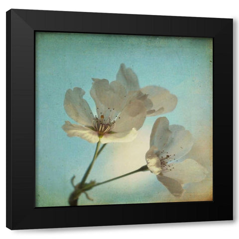 Spring Sings Black Modern Wood Framed Art Print with Double Matting by Hanna, Dawn D.