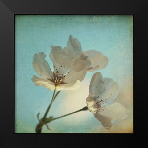 Spring Sings Black Modern Wood Framed Art Print by Hanna, Dawn D.