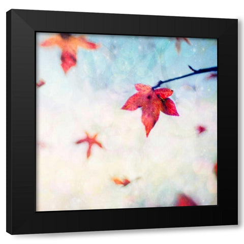 All Fall Down Black Modern Wood Framed Art Print by Hanna, Dawn D.