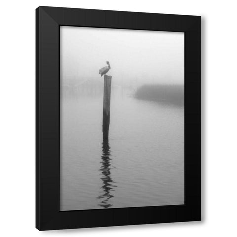 On Pelican Marsh Black Modern Wood Framed Art Print with Double Matting by Hiers, Winthrope