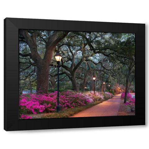 Forsythe Park Black Modern Wood Framed Art Print with Double Matting by Hiers, Winthrope