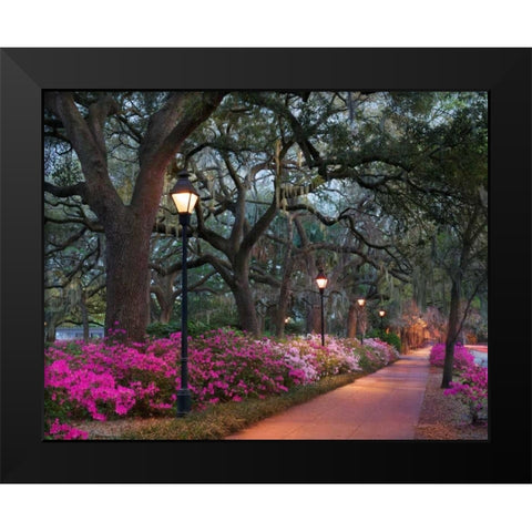 Forsythe Park Black Modern Wood Framed Art Print by Hiers, Winthrope