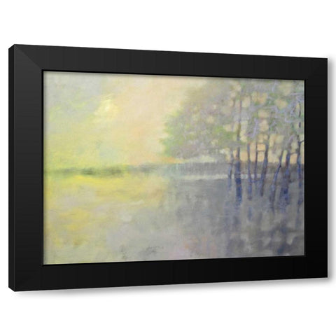 Spring Flood Black Modern Wood Framed Art Print with Double Matting by Hassler, Pam