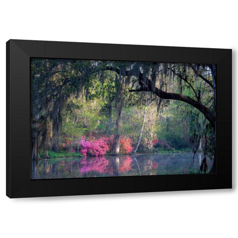 Morning Serenity Black Modern Wood Framed Art Print with Double Matting by Herrera, H.J.