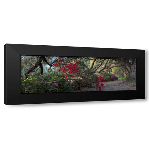 Springtime Morning Black Modern Wood Framed Art Print with Double Matting by Herrera, H.J.