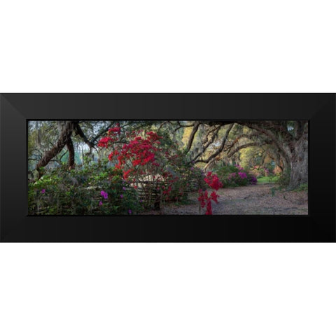 Springtime Morning Black Modern Wood Framed Art Print by Herrera, H.J.
