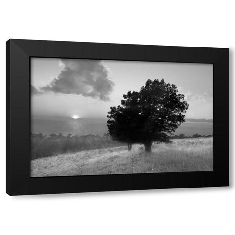 Spitler Knoll Overlook Black Modern Wood Framed Art Print by Hiers, Winthrope