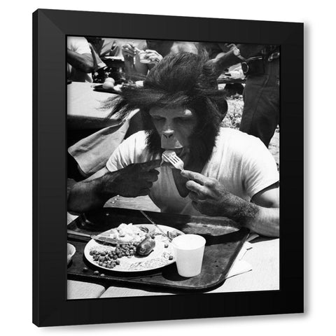 Even Apes Need a Break Black Modern Wood Framed Art Print with Double Matting by Unknown