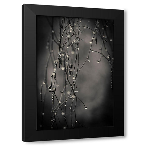 Bare Branches 2017 Black Modern Wood Framed Art Print by Horsfall, Gary