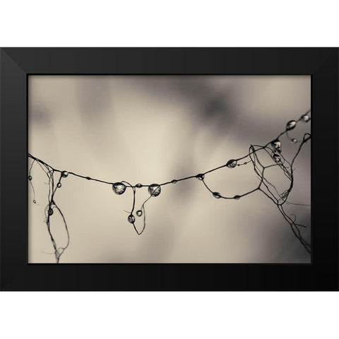 Moss 2017 Black Modern Wood Framed Art Print by Horsfall, Gary