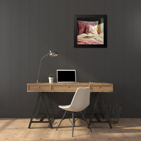 Bed Hare Black Modern Wood Framed Art Print by Heffernan, Lucia