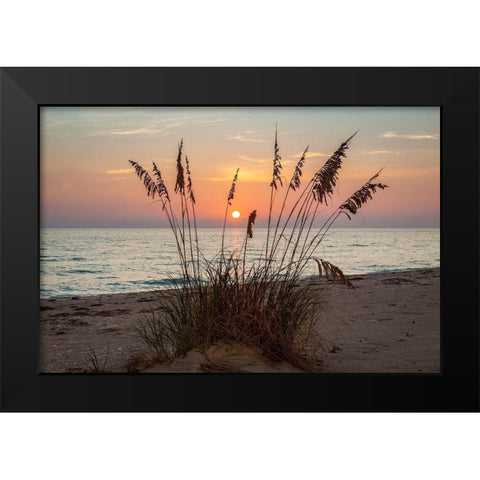 Days End Black Modern Wood Framed Art Print by Herrera, H.J.
