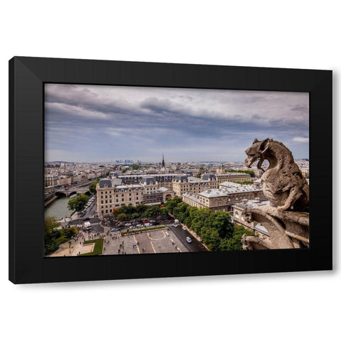 Guardian of the City II Black Modern Wood Framed Art Print by Herrera, H.J.