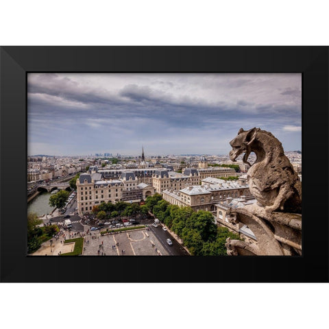 Guardian of the City II Black Modern Wood Framed Art Print by Herrera, H.J.