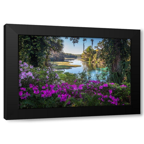 Rainbow Springs Black Modern Wood Framed Art Print by Herrera, H.J.