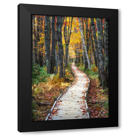 Autumn Boardwalk I Black Modern Wood Framed Art Print by Head, Danny