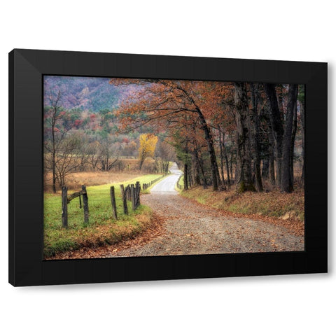 Autumn Drive I Black Modern Wood Framed Art Print with Double Matting by Head, Danny