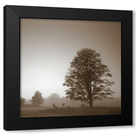 Stillness Black Modern Wood Framed Art Print with Double Matting by PhotoINC Studio