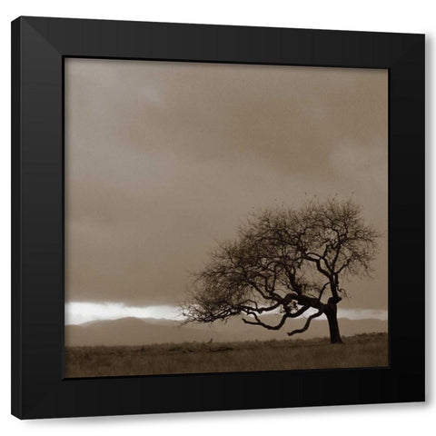 Survivor Black Modern Wood Framed Art Print by PhotoINC Studio