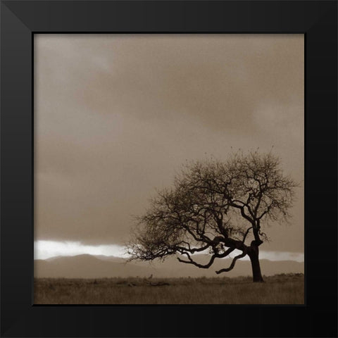 Survivor Black Modern Wood Framed Art Print by PhotoINC Studio