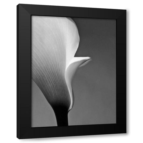 Calla No. 5 Black Modern Wood Framed Art Print by PhotoINC Studio
