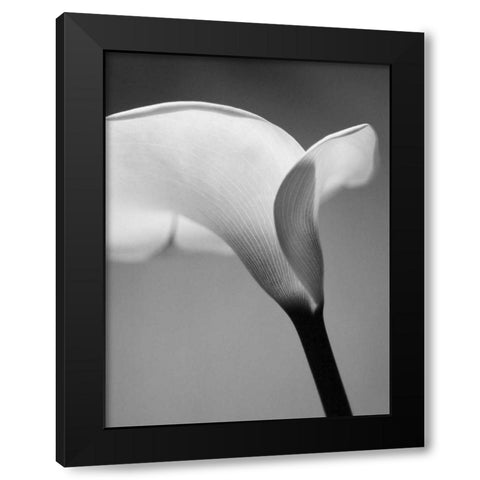 Calla No. 6 Black Modern Wood Framed Art Print by PhotoINC Studio