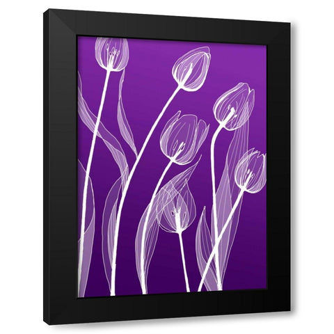 X-ray Flowers Black Modern Wood Framed Art Print by GraphINC