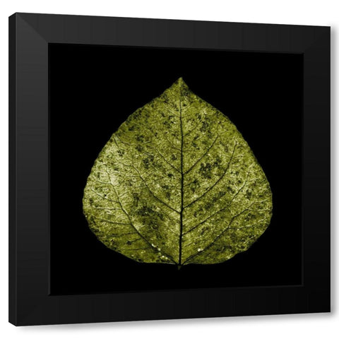 Green Leaf Black Modern Wood Framed Art Print by PhotoINC Studio