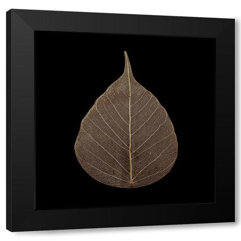Brown Leaf Black Modern Wood Framed Art Print by PhotoINC Studio