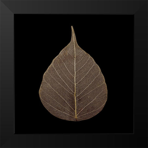 Brown Leaf Black Modern Wood Framed Art Print by PhotoINC Studio
