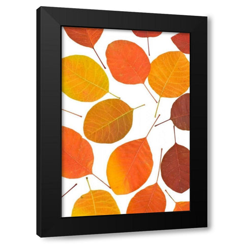 Brown Leaves Black Modern Wood Framed Art Print by PhotoINC Studio
