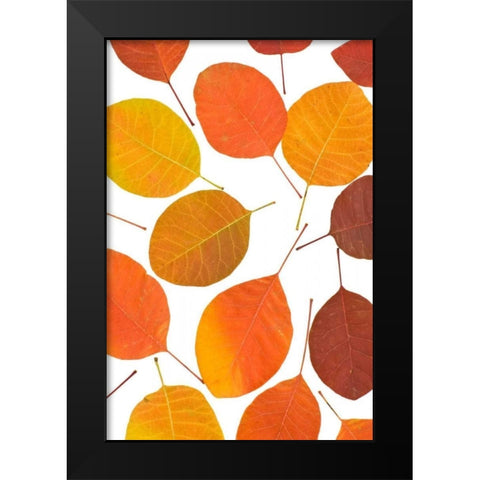 Brown Leaves Black Modern Wood Framed Art Print by PhotoINC Studio