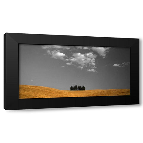 Toscana Landscape Black Modern Wood Framed Art Print by PhotoINC Studio