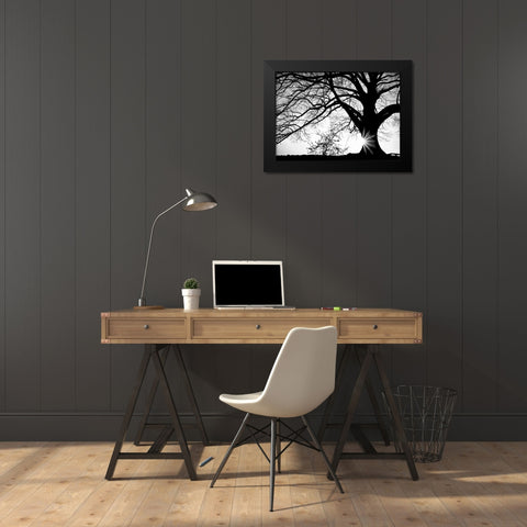 Oak Silhouette Black Modern Wood Framed Art Print by PhotoINC Studio