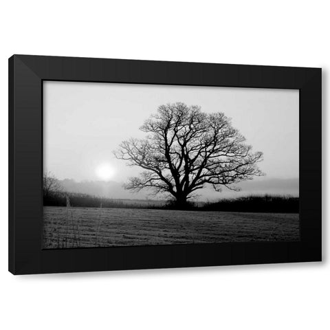 Meadow Tree Black Modern Wood Framed Art Print with Double Matting by PhotoINC Studio