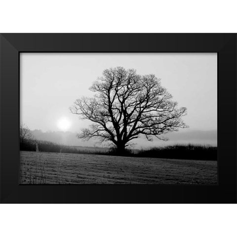 Meadow Tree Black Modern Wood Framed Art Print by PhotoINC Studio