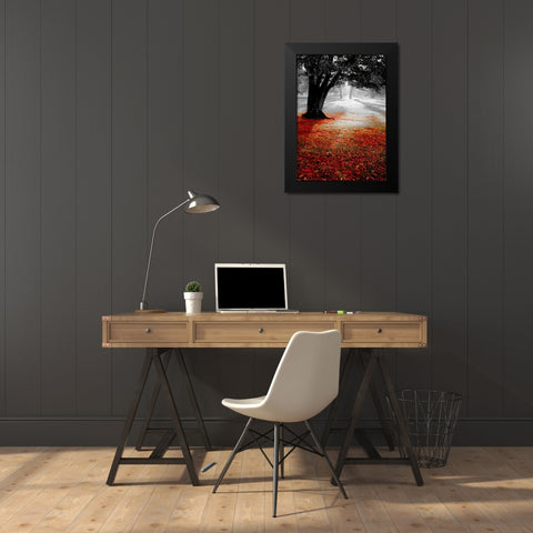 Autumn Contrast Black Modern Wood Framed Art Print by PhotoINC Studio