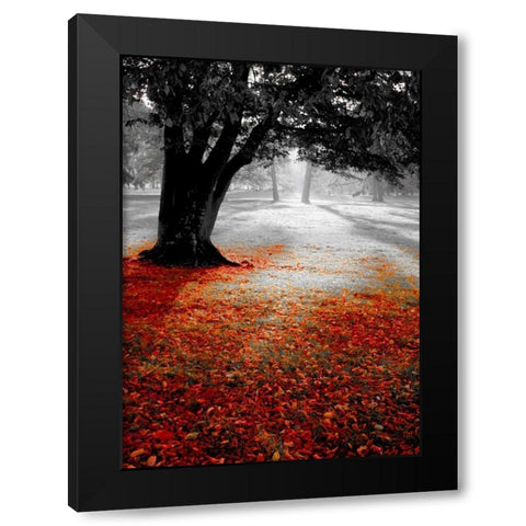 Autumn Contrast Black Modern Wood Framed Art Print by PhotoINC Studio