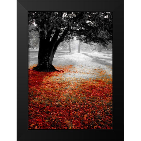 Autumn Contrast Black Modern Wood Framed Art Print by PhotoINC Studio