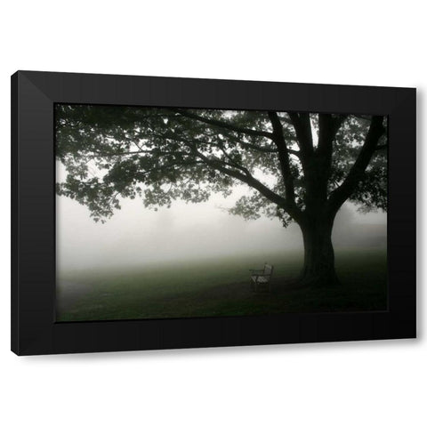 Misty Bench Black Modern Wood Framed Art Print with Double Matting by PhotoINC Studio