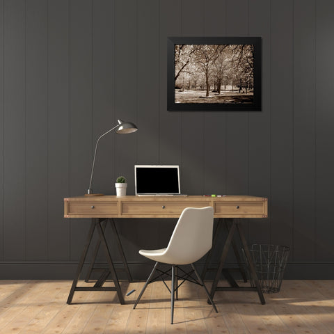 Cherry Tree Park Black Modern Wood Framed Art Print by PhotoINC Studio
