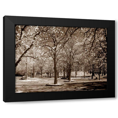 Cherry Tree Park Black Modern Wood Framed Art Print with Double Matting by PhotoINC Studio